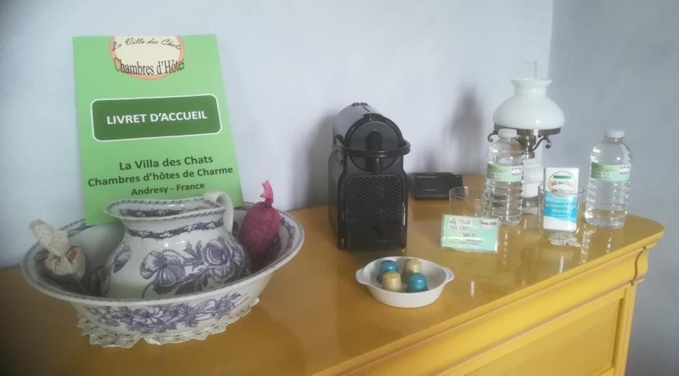La Villa Des Chats Andrésy Zewnętrze zdjęcie
